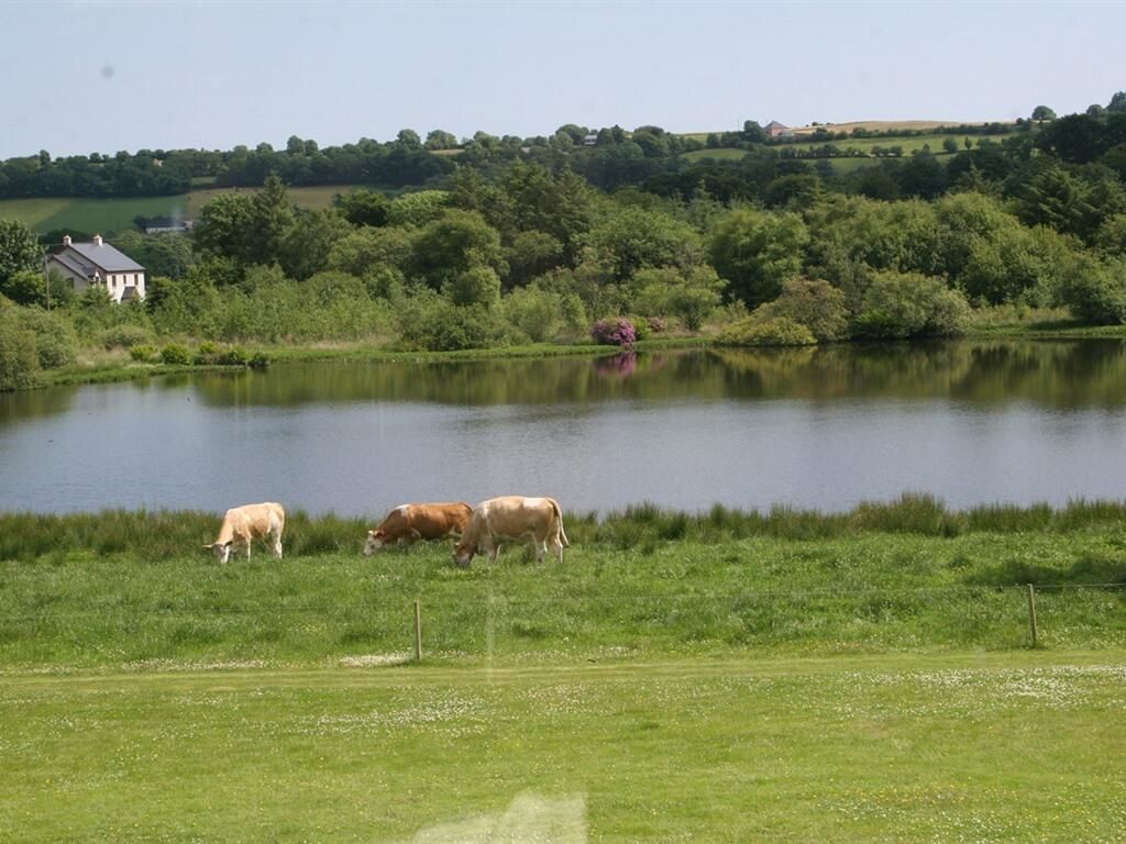 Отели типа «постель и завтрак» Lake House Dunmanway-17