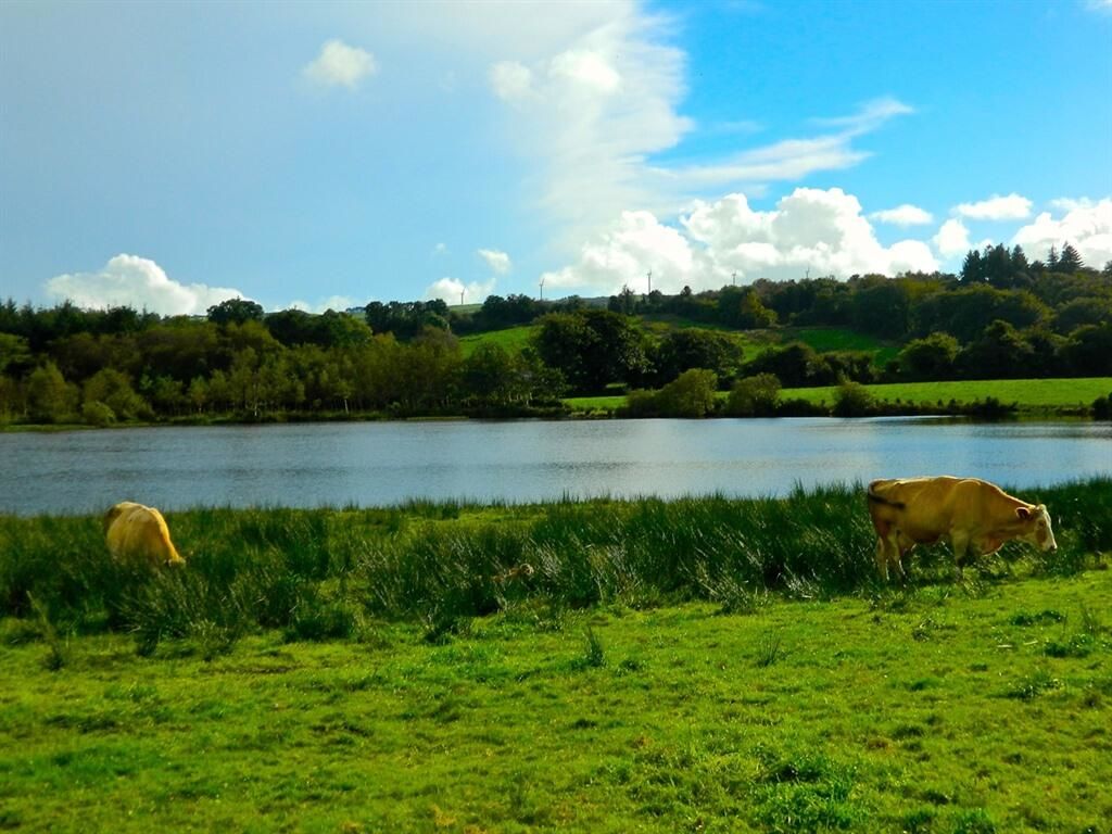 Отели типа «постель и завтрак» Lake House Dunmanway-10